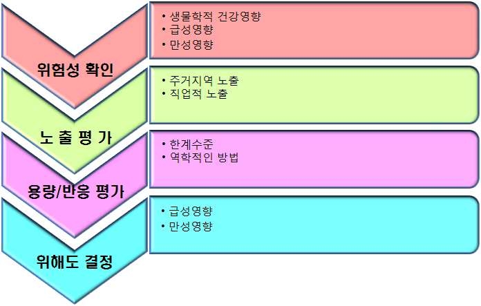 위해성 평가 과정