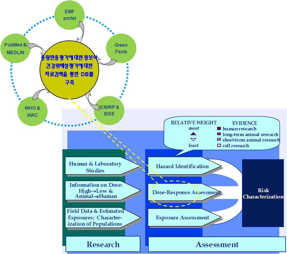 용량 반응 정보 및 건강 위해성 평가 분석