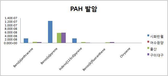 지역별의 발암성 PAH에 대한 발암위해도.