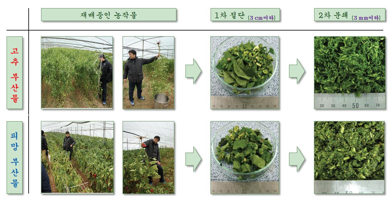 시료의 채취 및 전처리