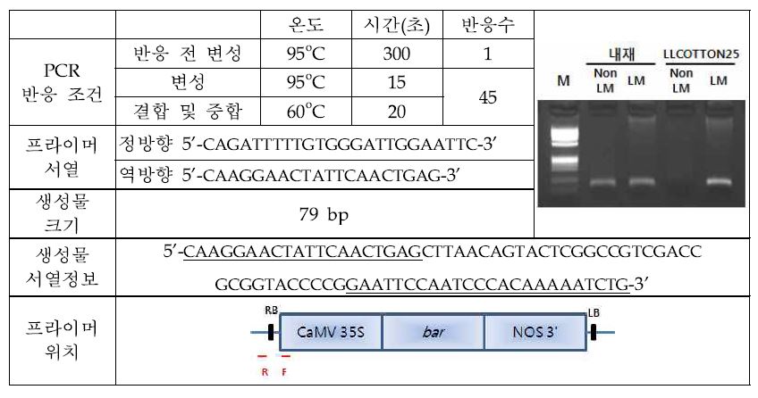 LLCONTON25 검출 조건 및 프라이머 서열 정보 (Mizzara et. al., 2007d)