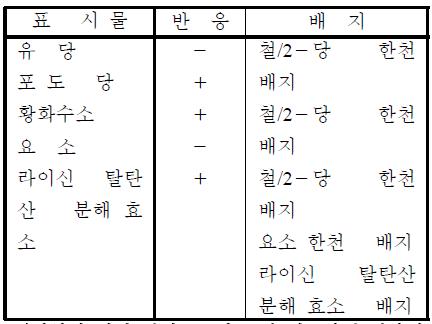 기초 생화학 반응