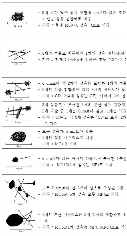 복합 석면 묶음 기록의 예