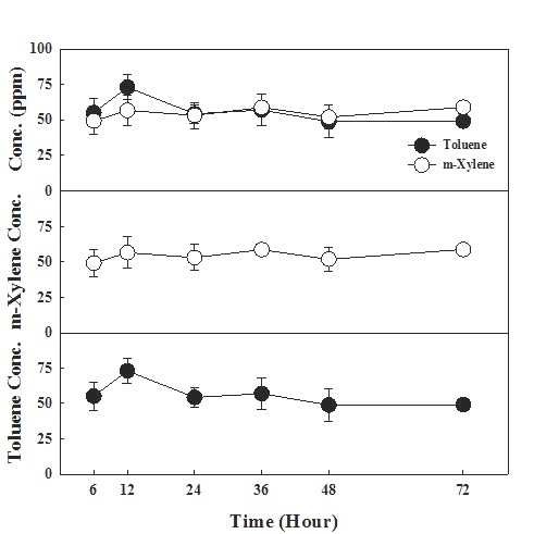 Toluene, m-Xylene의 시간별 안전성 및 균질성 기기분석 결과
