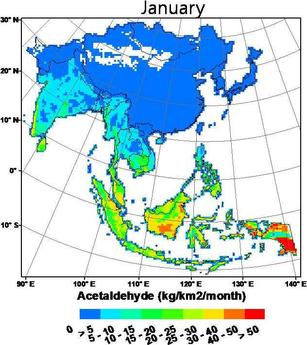 An Asian biogenic emission map for acetaldehyde in January 2009.