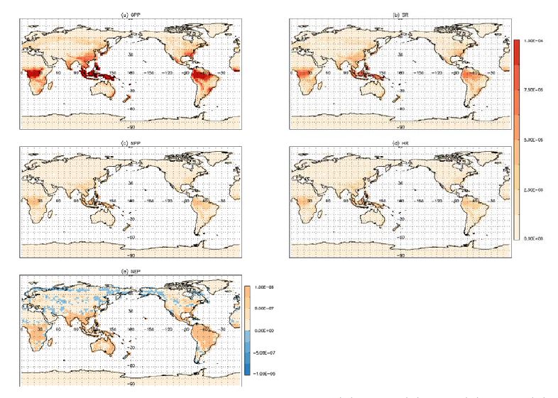 Figure 3.4. Spatial pattern of annual mean (a) GPP, (b) SR, (c) NPP, (d) HR, and (e) NEP in B1850_CN_F19 experiment