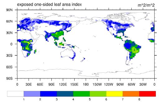 Figure 3.13. Spatial pattern of last 20-year mean leaf area index in CN_final_spinup experiment