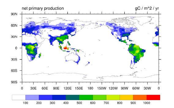 Figure 3.15. Spatial pattern of last 20-year mean NPP in CN_final_spinup experiment