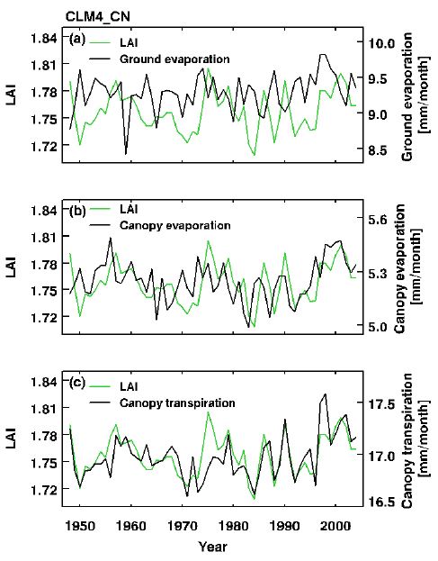 Figure 3.23. Time series of annual mean leaf area index (green solid) and (a) ground evaporation, (b) canopy evaporation, and (c) canopy transpiration (black solid) in CLM4_CN experiment for the peroid of 1948 to 2004