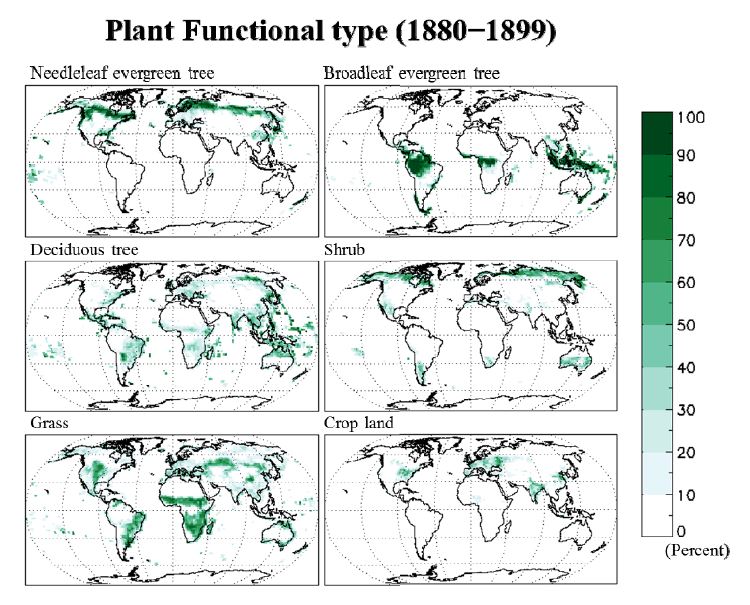 Figure 1.11. Spatial distribution of percentile of each plant functional types in the period of 1880 to 1899