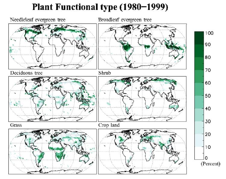 Figure 1.12. Spatial distribution of percentile of each plant functional types in the period of 1980 to 1999