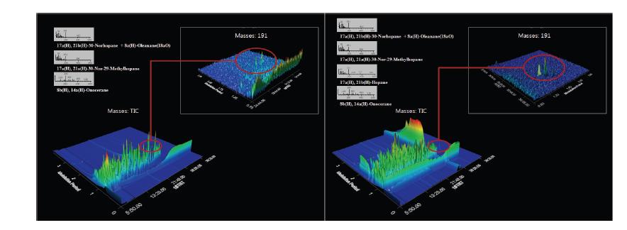 Analysing results of Baengnyeong-do & Seoul samplesat Asian Dust case of Hopanes