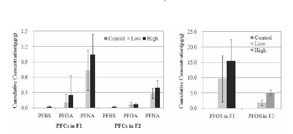 Cumulative concentrations in Oryzias latipes exposed to PFCs