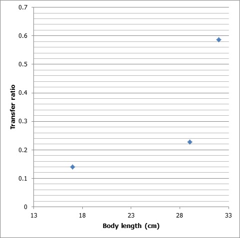 Figure 2-13. Correlation between total maternal transfer of TBBPA ratio and fish body length