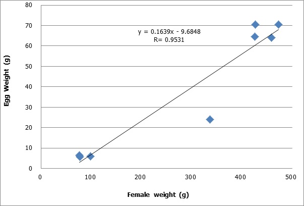 Figure 2-16. Correlation between Egg weight and Female weight.