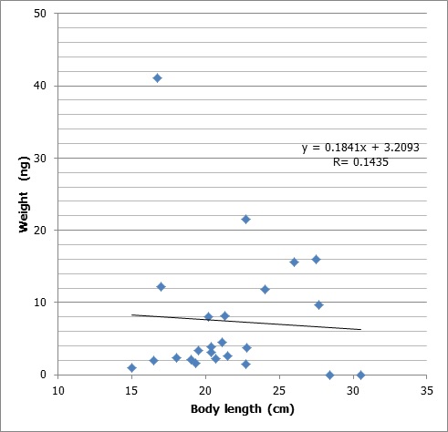 Figure 2-19. Correlation between total amount of TBBPA in fish and fish body length.