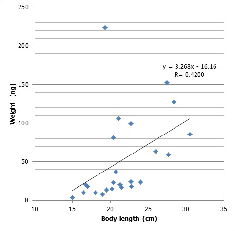 Figure 2-20. Correlation between total amount of HBCDs in fish and fish body length.