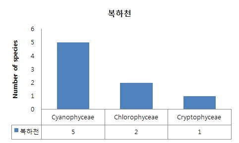 Figure 1-7. The number of species of phytoplankton in Bokha stream.
