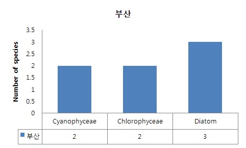 Figure 1-16. The number of species of phytoplankton in the Nakdong river estuary.