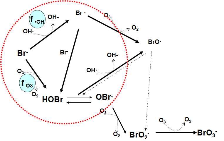 Reaction scheme of bromate formation during ozonation of bromate-containing waters