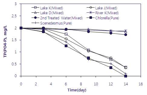 Comparison of phosphorus removal rate in synthetic wastewater