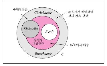 그림 2. 대장균, 분원성대장균군 및 총대장균군의 관계