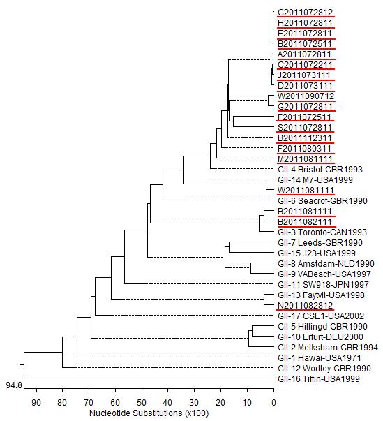 그림 12. 하반기 검출된 노로바이러스 GII 유전자의 계통분류학적 분석