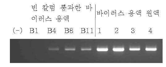 뮤린노로바이러스 양성대조군의 one step RT-PCR. (-): one step RT-PCR의 음성 대조군, B1: 0 분, B4: 90 분, B8: 210 분, B11: 300 분, 1: 0 분, 2: 90 분, 3: 210 분, 4: 300 분.