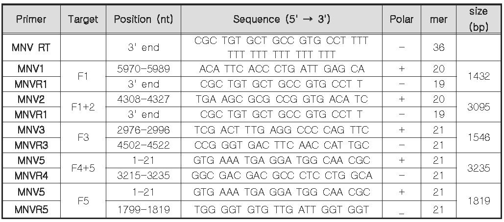 뮤린노로바이러스 전체 염기 서열 결정을 위하여 사용한 primer