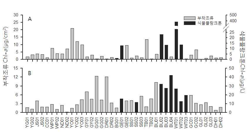 각 조사지점별 조류 군집의 엽록소 농도
