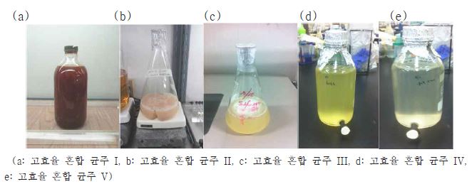 EM, 파주 바실러스 균주의 대량 배양