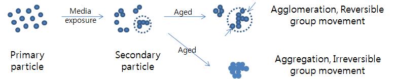 용액내 나노입자의 가역 및 비가역 응집 현상