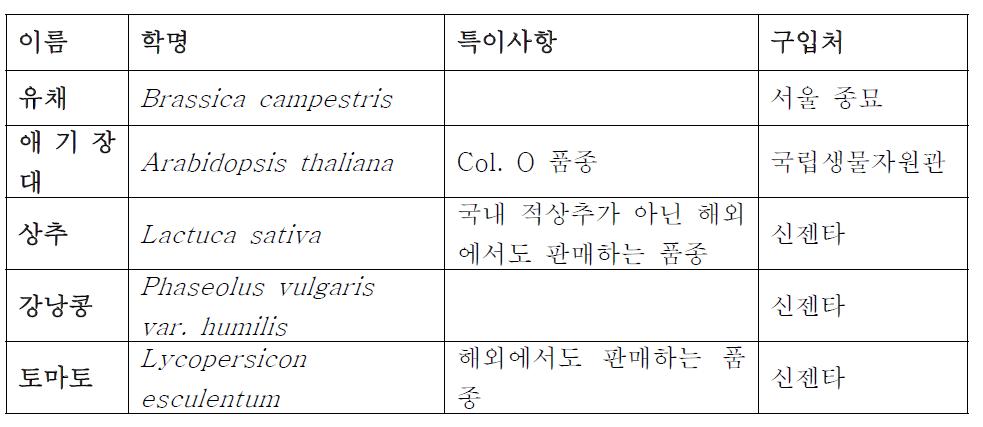 연구에 사용한 식물 종