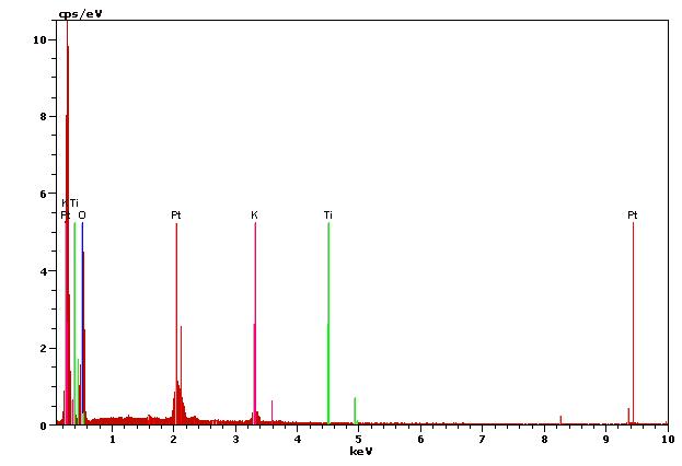 유채 5000 mg/kg 처리구(단면) SEM-EDS 사진