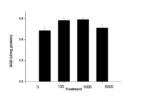 유채의 TiO2(mg/kg) 처리구별 SOD 실험 결과