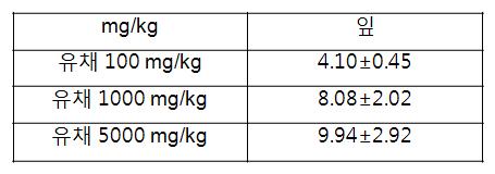 처리구별 유채 잎의 Ti 흡수량 (mg/kg)
