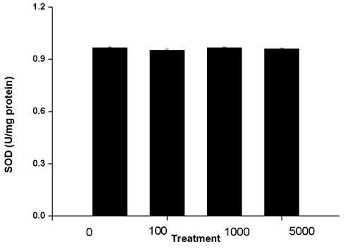 애기장대 SOD 실험 결과Black bars and bars represent mean ± SE of 5 replicates.