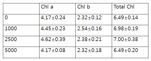 상추의 처리구별 엽록소 함량 (mg/L)