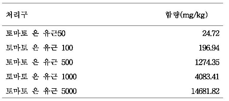 토마토 AgNP 처리구별 흡수량 (유근)