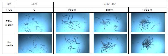 UV 노출시간 조건을 위한 연구