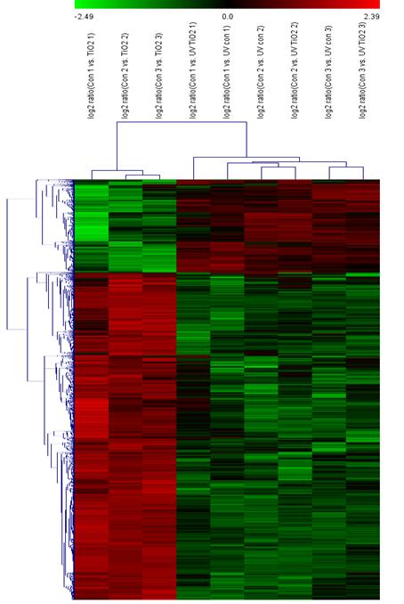무처리군 대비 UV control, TiO2, UV+TiO2의 유전자 발현 패턴의 클러스터링 분석
