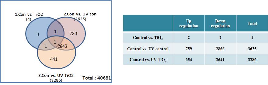 무처리군 대비 UV control, TiO2, UV+TiO2의 마이크로 어레이 분석결과