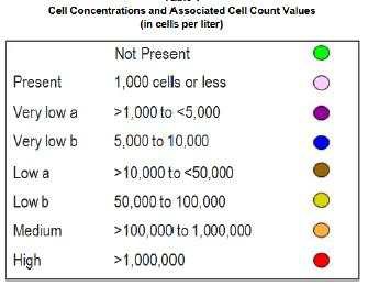 Karenia brevis cell 농도표시