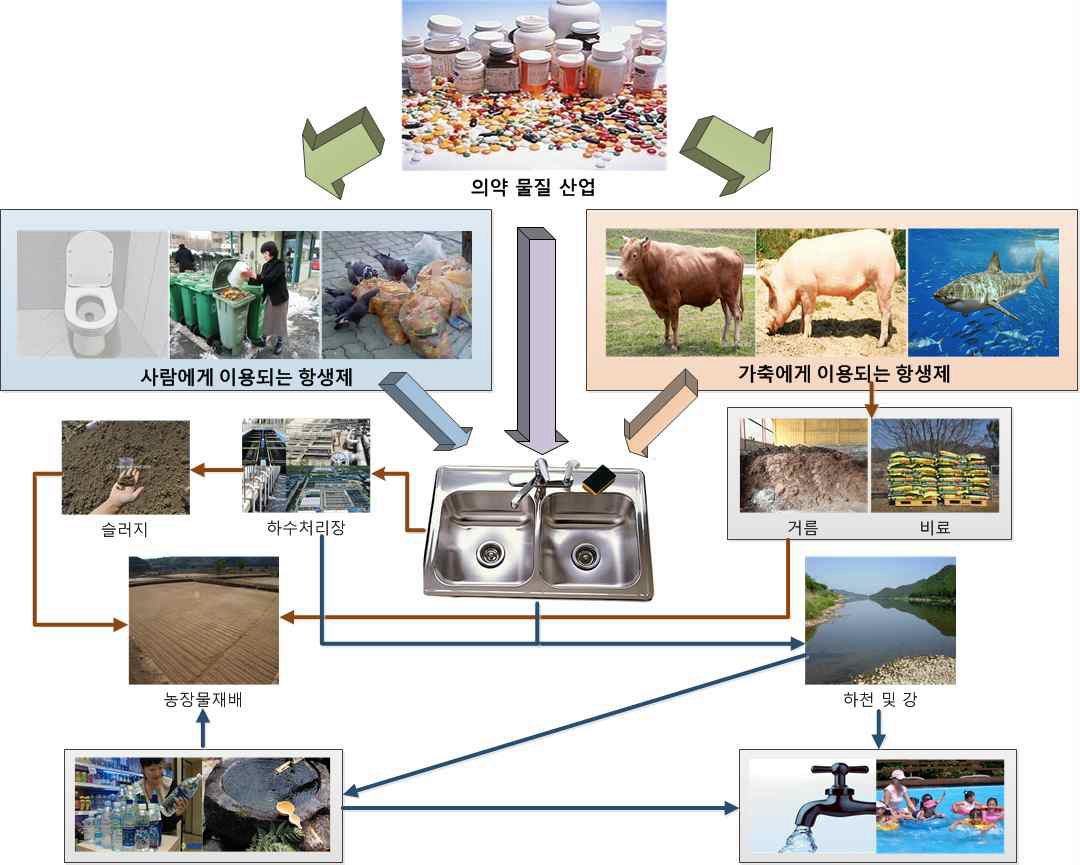 그림 3. 환경 중 의약물질 이동경로