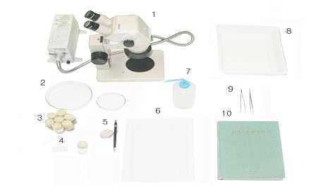 골라내기 (sorting)와 동정 (identification)에 필요한 도구