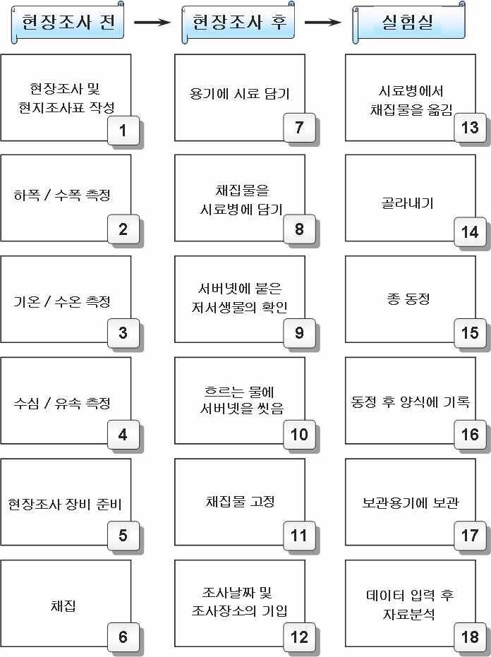 저서성 대형무척추동물의 현장조사 및 실험실 분석과정