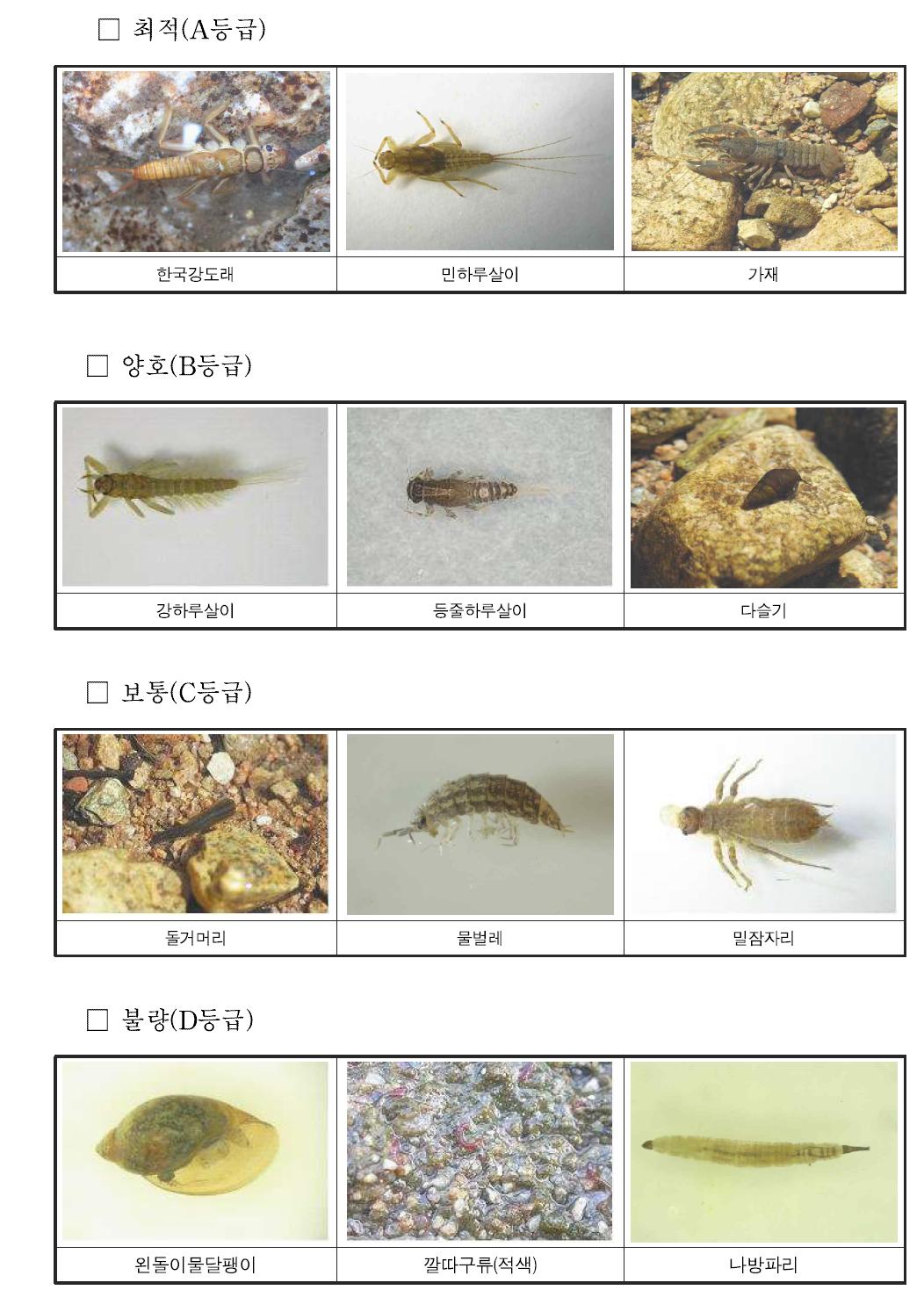 저서성 대형무척추동물 지표생물군