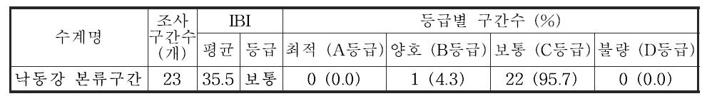 낙동강 대권역 본류구간의 어류 생물지수(IBI) 값 및 등급 분포