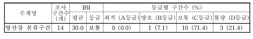 영산강 대권역 본류구간의 어류 생물지수(IBI) 값 및 등급 분포