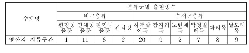 영산강 대권역 지류구간의 저서성 대형무척추동물 출현종수